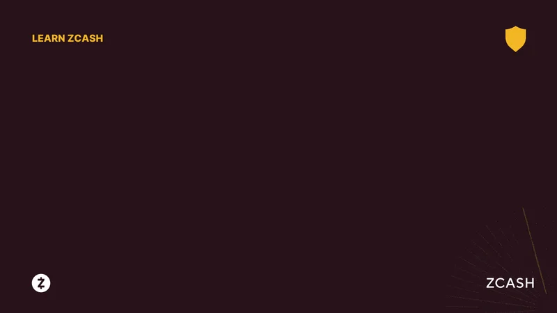 Zcash's Quiet Rise: Price Predictions and What We Know – What Reddit is Saying